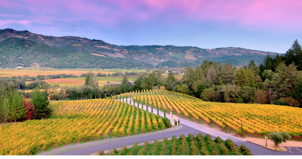 Jour 4 – Cap sur la Napa Valley