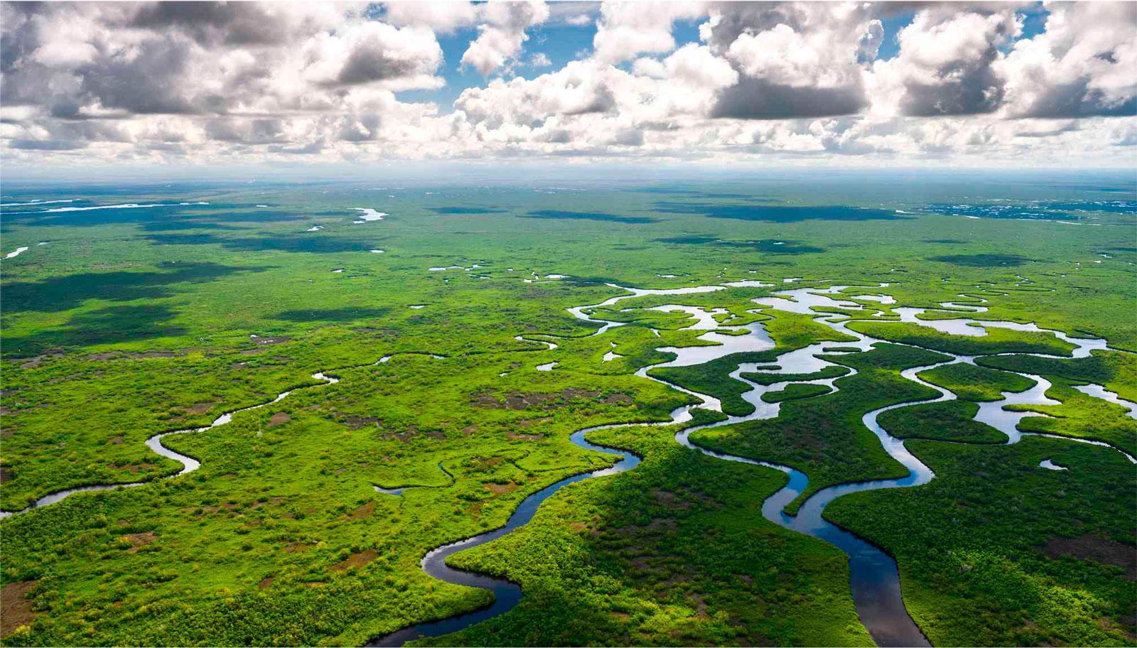 Etape 3 - les everglades / naples