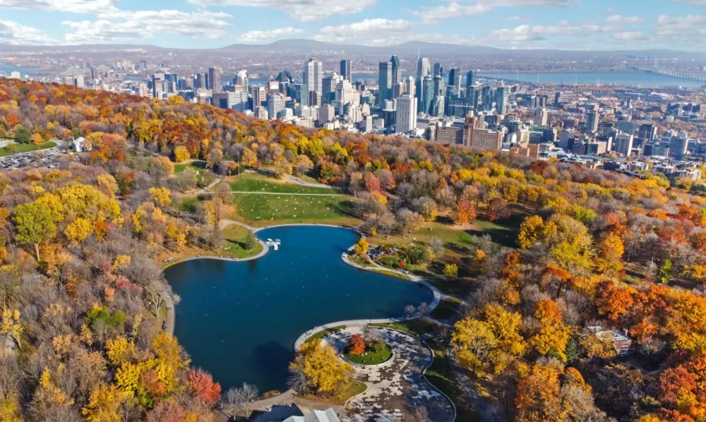 Lire la suite à propos de l’article Montréal