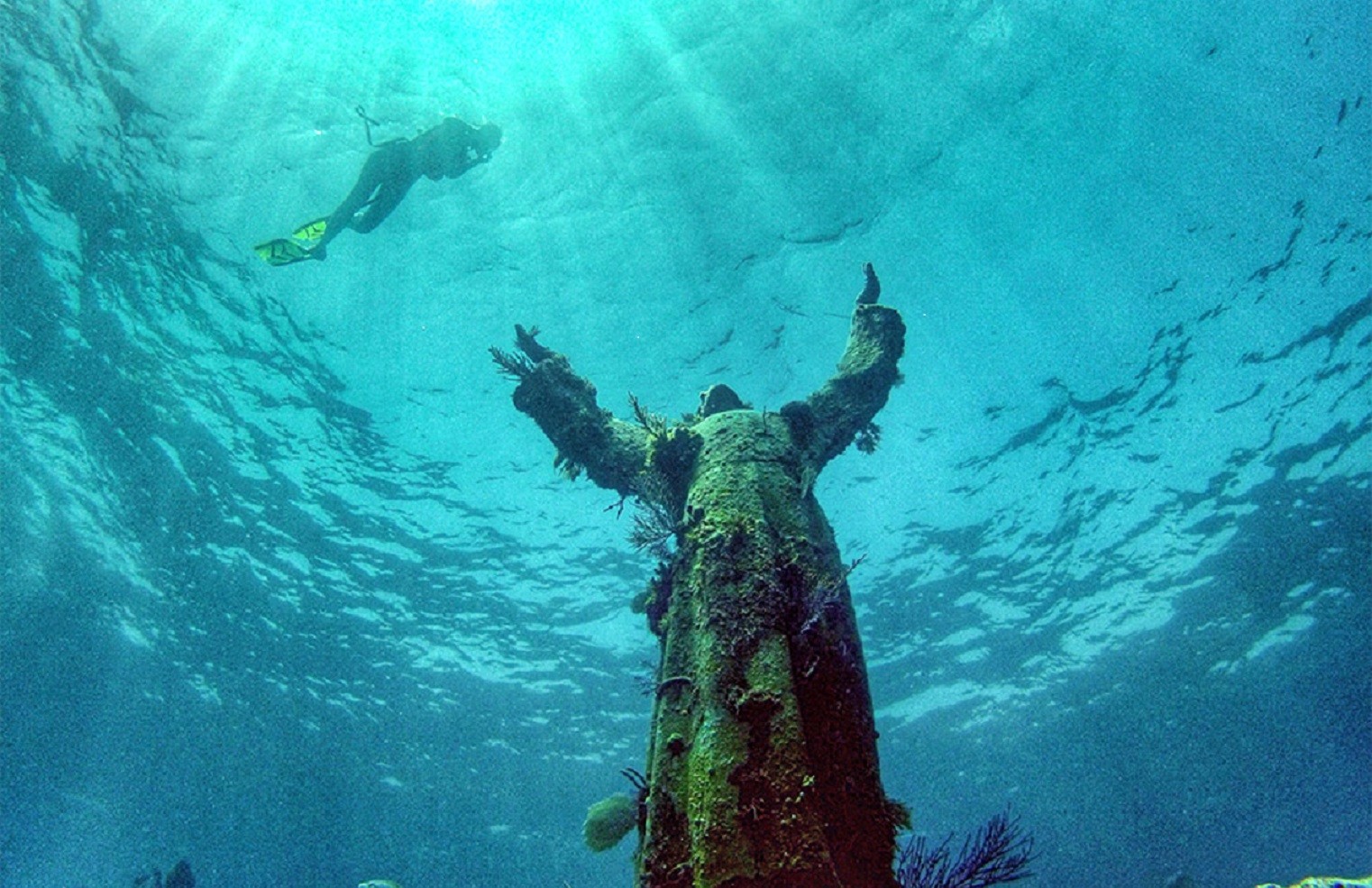 Jour 5 – Snorkeling à Key Largo